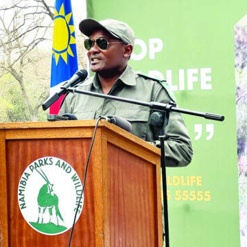 Shifeta Shifeta: Ministry will never award flawed concessions