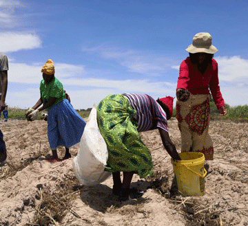 UN: Etata lyAanamibia olyi li moshikele shondjala  