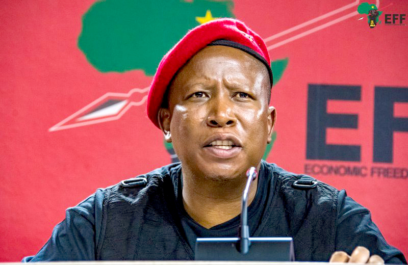 Malema Calls to probe EFF leaders in bank collapse intensifies