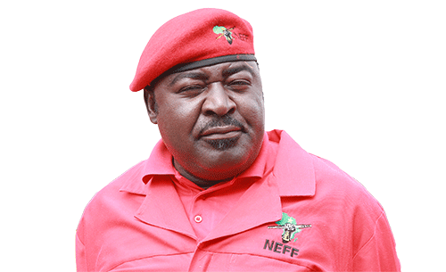 NEFF blames Swapo for legal woes … They’re irresponsible – Herunga  