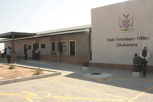 Lumpy skin disease outbreak in Okakarara
