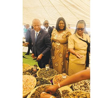 President Culture, heritage vital for nation-building – Mbumba