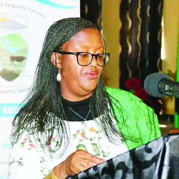 Internet access still a challenge – Ausiku