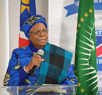 NNN: Bureaucracy should not hamstring parastatals