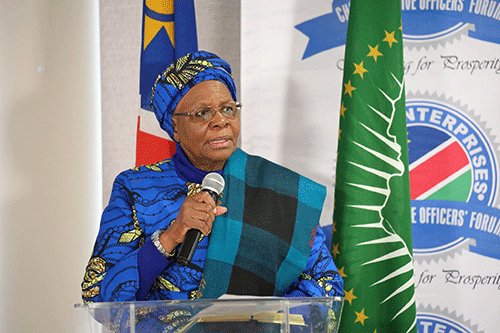 Vice-President NNN: Bureaucracy should not hamstring parastatals