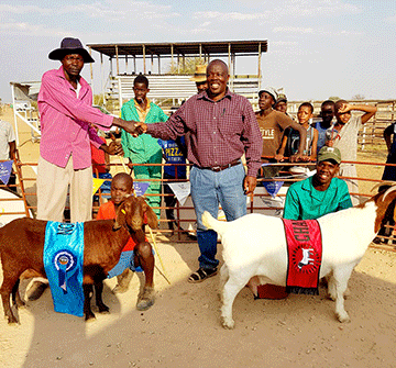 Aminuis Agri Show: Top breeds to strut 