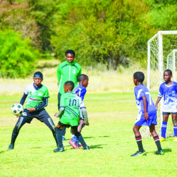 Quest U/11s stamp authority …as Swallows go down 7-1