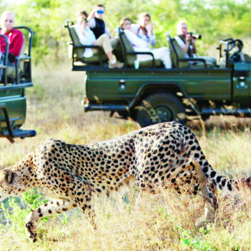 Kruger community to start international hunting