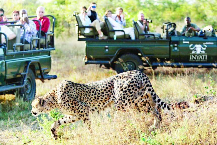 Kruger community to start international hunting