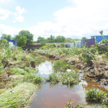 Malaria 28 malaria deaths in 7 months