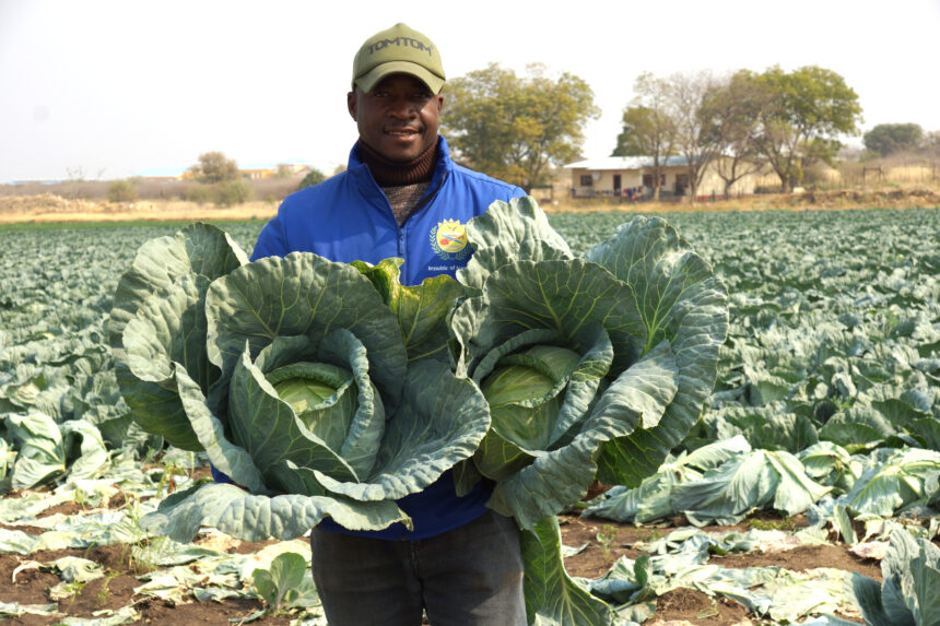 NYS Production Centre: The nation’s oasis of hope … empowering youth, feeding local markets