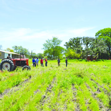 Town councils struggle with communal landowners