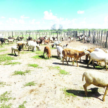 Witsand Witsand invaders in court today