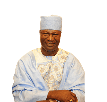 Amweelo Opinion – What is woody biomass?