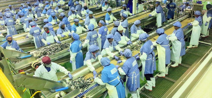 Fishing 2 Strengthen and fast-track fishing laws – report
