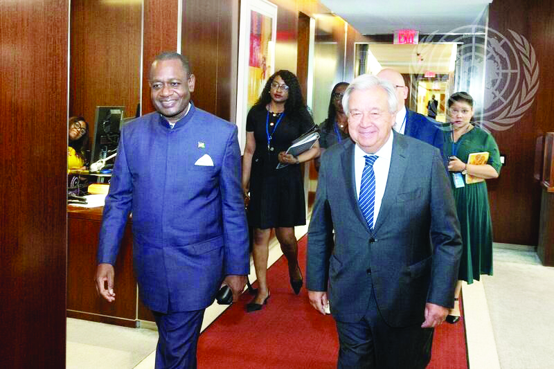 Mushelenga continues security council reform chorus