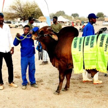 Aminuis agricultural show hailed a success… as young farmers gain exposure