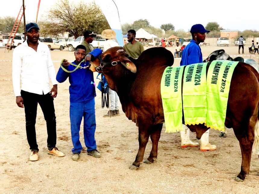 Aminuis agricultural show hailed a success… as young farmers gain exposure