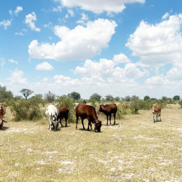 Amupanda takes red line fight to Zambezi