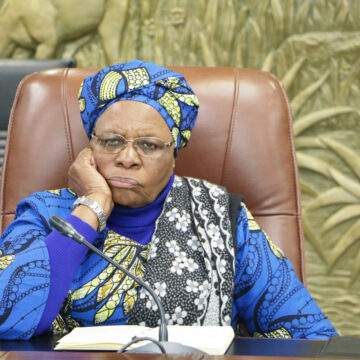 Autocracies vs democracy_Swapo_Heather Erdmann Guided democracy or autocracy …how parties choose their MPs