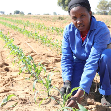 Budget must show agriculture is a national priority…Schlettwein calls for alignment of fiscal allocation