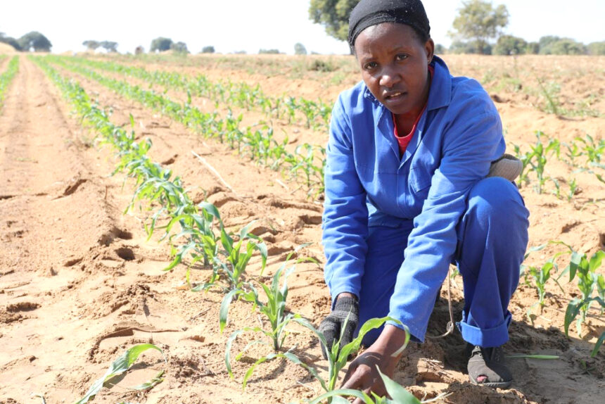 Budget must show agriculture is a national priority…Schlettwein calls for alignment of fiscal allocation