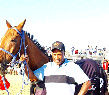 Freedom Fighter quits racing 