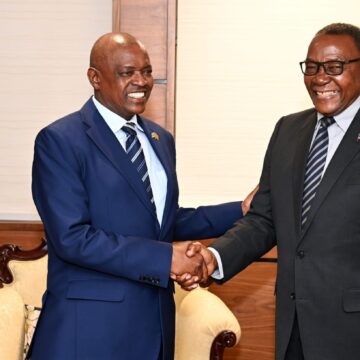 Borders are artificial – Masisi