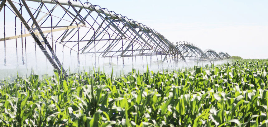 NAHA Awards Agronomic board awards top producers… donates N$1m towards drought