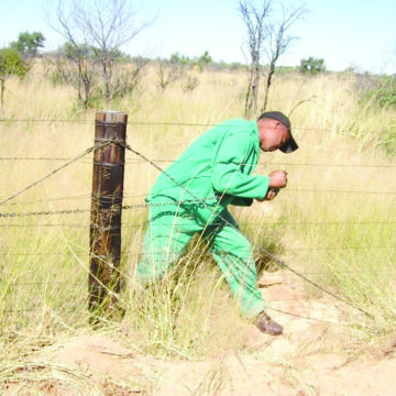 Red line Katengo ka makwambuyu kanyatela kuzusa mubamba omufubelu