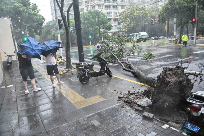 Shanghai shut down by strongest typhoon since 1949