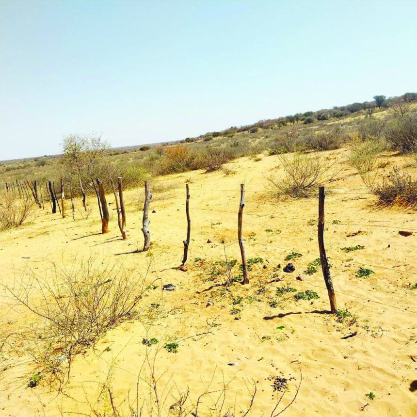 Illegal fences lock poor Omaheke farmers out