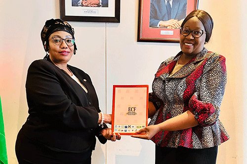 ECN vows to deliver credible elections 