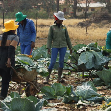 Agribank reaching more female farmers