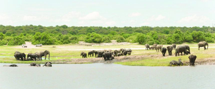 Conservancies launch umbrella alliance 