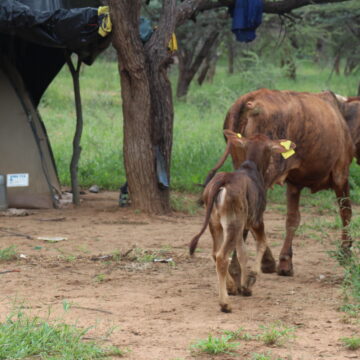 Congested farms concern Omaheke councillors 