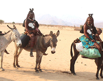 Donkeys carry Kunene