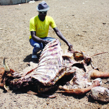 Namibia’s N$482m drought relief deficit 