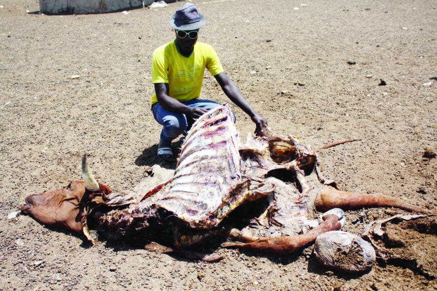 Namibia’s N$482m drought relief deficit 