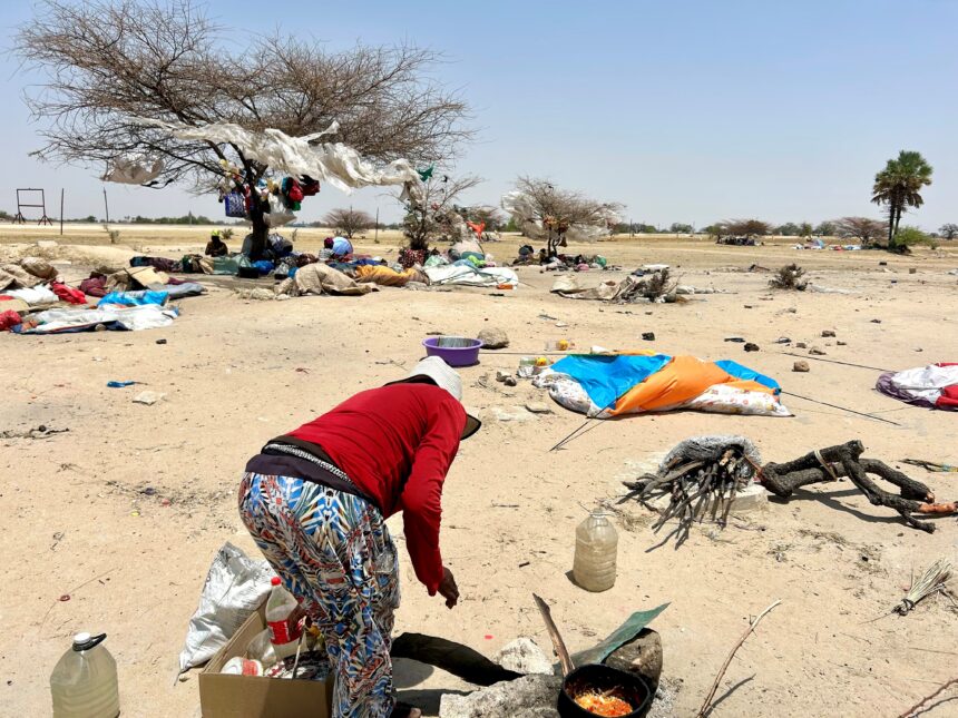 Destitute expectant mother survives from dustbins