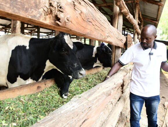 Farmers’ Kraal with Charles Tjatindi – Beware of the hidden costs of farming