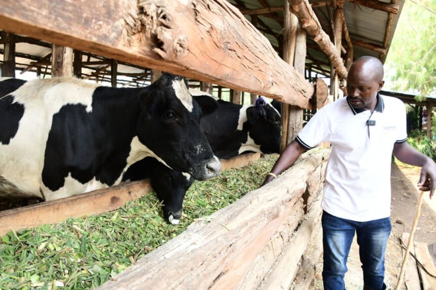 Farmers’ Kraal with Charles Tjatindi – Beware of the hidden costs of farming