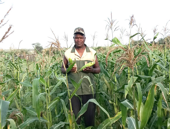 Hardap farmers trained in food- processing