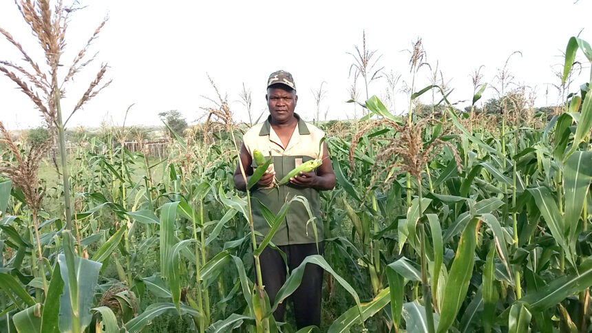 Hardap farmers trained in food- processing