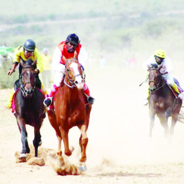 Honouring Alex Angermund on horseback