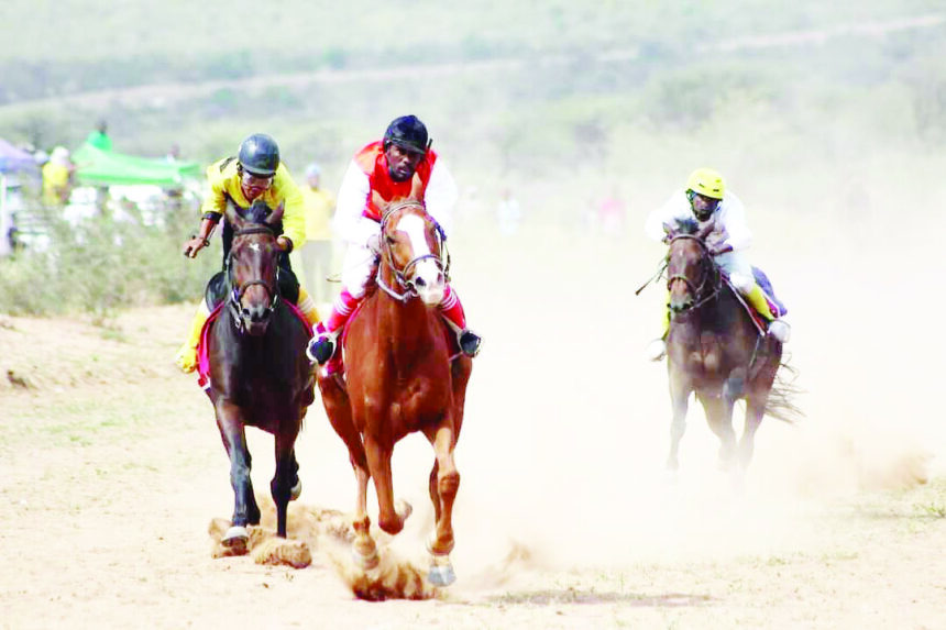 Honouring Alex Angermund on horseback