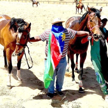 Namibia racehorses shine in Botswana