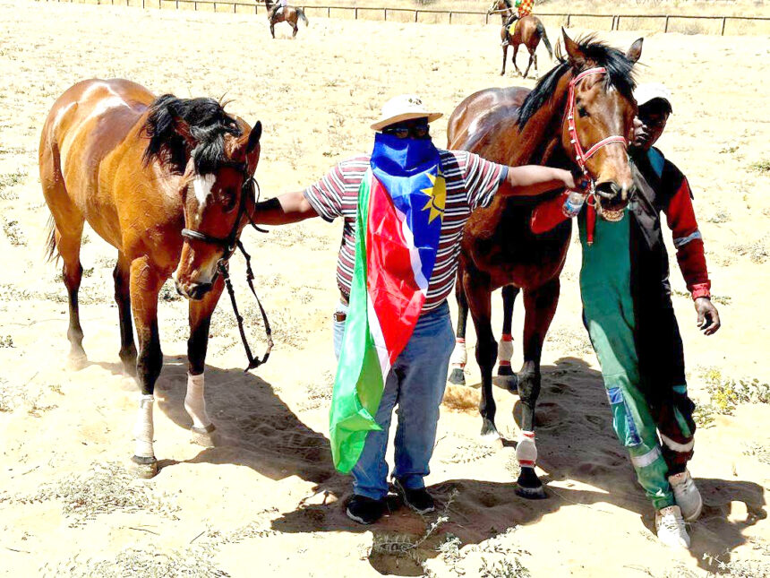 Namibia racehorses shine in Botswana