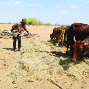 Namundjebo-Tilahun donates to farmers