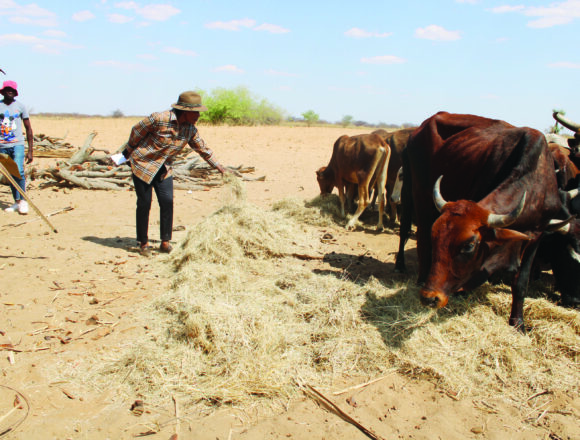 Namundjebo-Tilahun donates to farmers